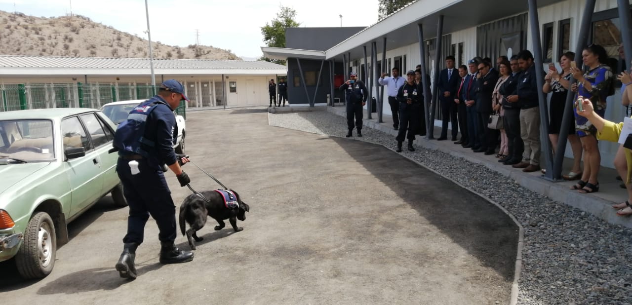 LOS LIBERTADORES: Con nuevos binomios caninos Aduanas refuerza protección de las fronteras