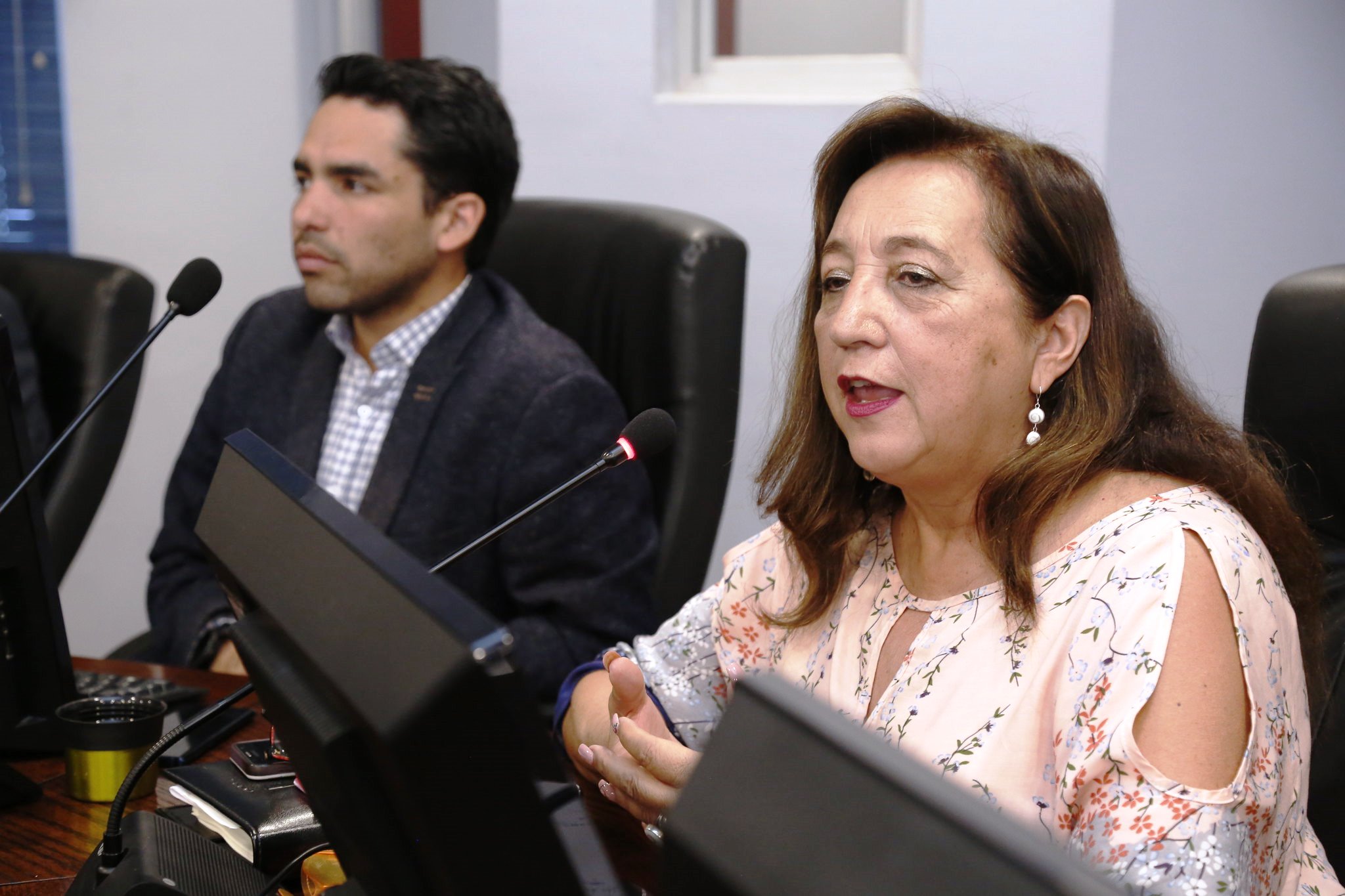 LOS ANDES: Consejera Regional María Victoria Rodríguez destacó la aprobación de más de mil millones de pesos del Fondo nacional de Desarrollo Regional para la Provincia