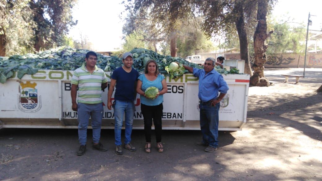 REGIÓN: Alianza Indap – Lo Valledor permite entrega de 30 toneladas de alimento a ganado de San Esteban y Petorca