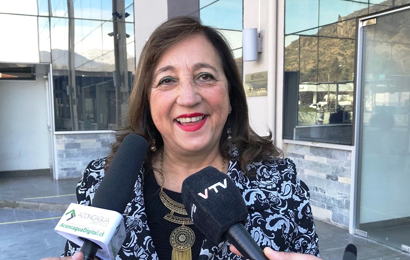 LOS ANDES: Consejera Regional María Victoria Rodríguez participa de conversatorio sobre proceso constituyente
