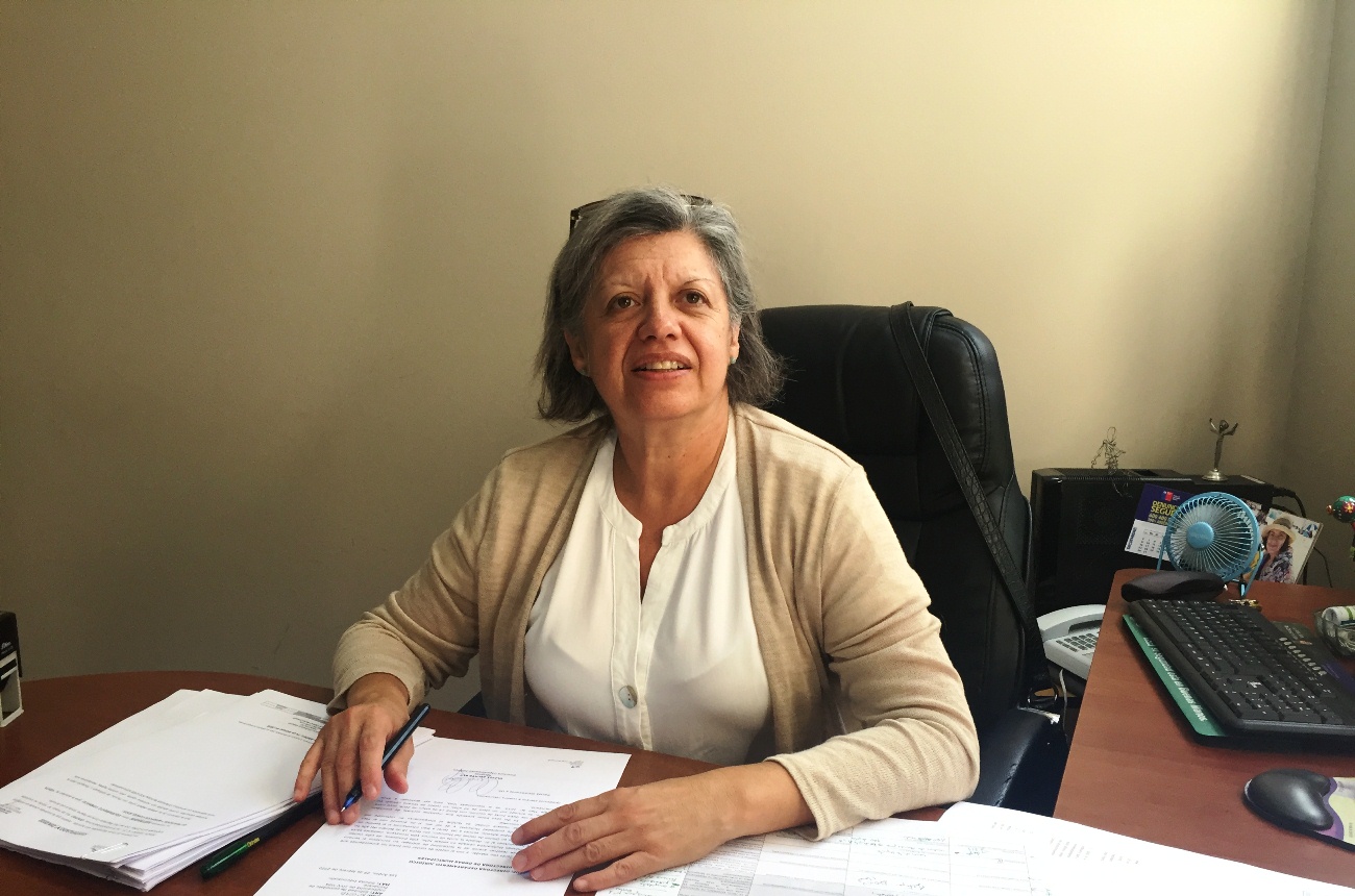 LOS ANDES:  Municipio Andino actualiza informe sobre proyectos inmobiliarios en la comuna