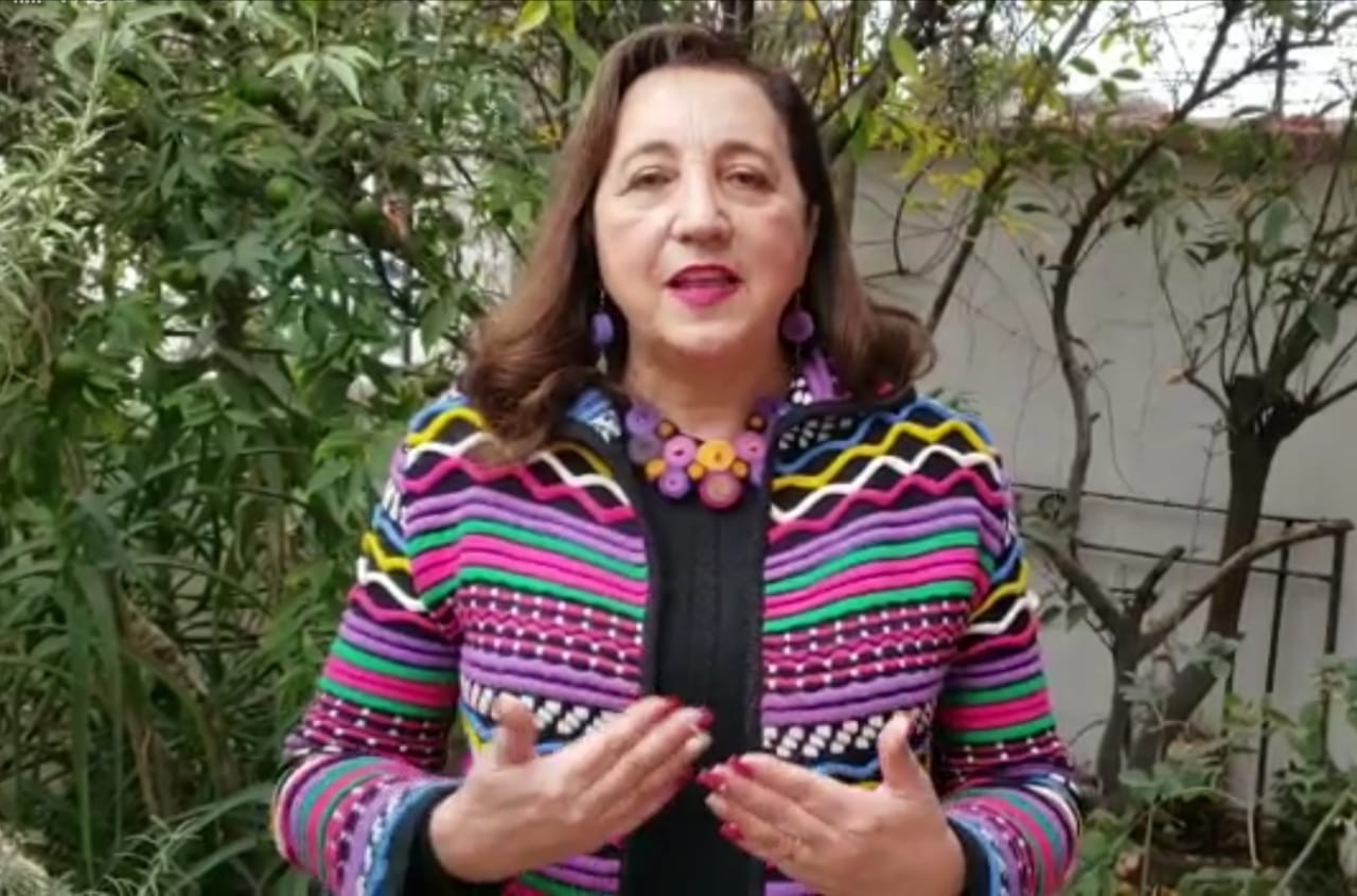 REGIÓN: CORE María Victoria Rodríguez destacó aprobación de 4 mil millones de pesos para entrega 86 mil cajas de alimentos a familias más vulnerables
