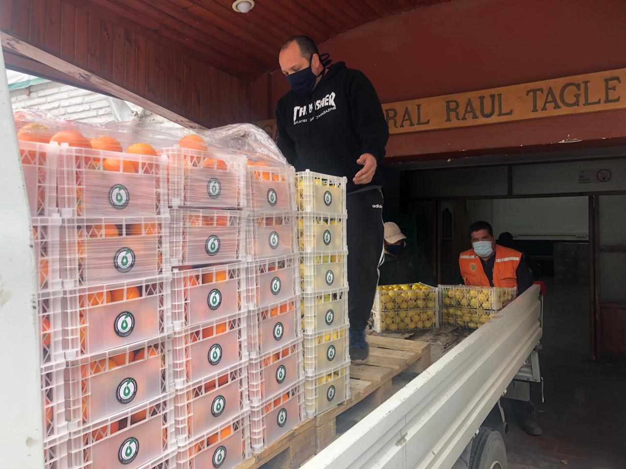 PANQUEHUE: Exportadora y comercializadora El Parque Ltda entrega al municipio cajas de limones y naranjas para ser distribuidas en la comunidad
