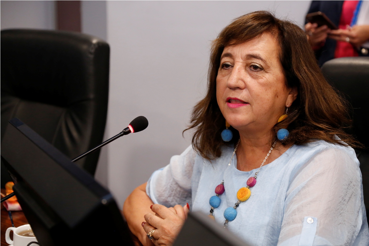 GORE: CORE Rodríguez y recorte presupuestario: “Esto significa dejar a los municipios sin los proyectos FRIL”