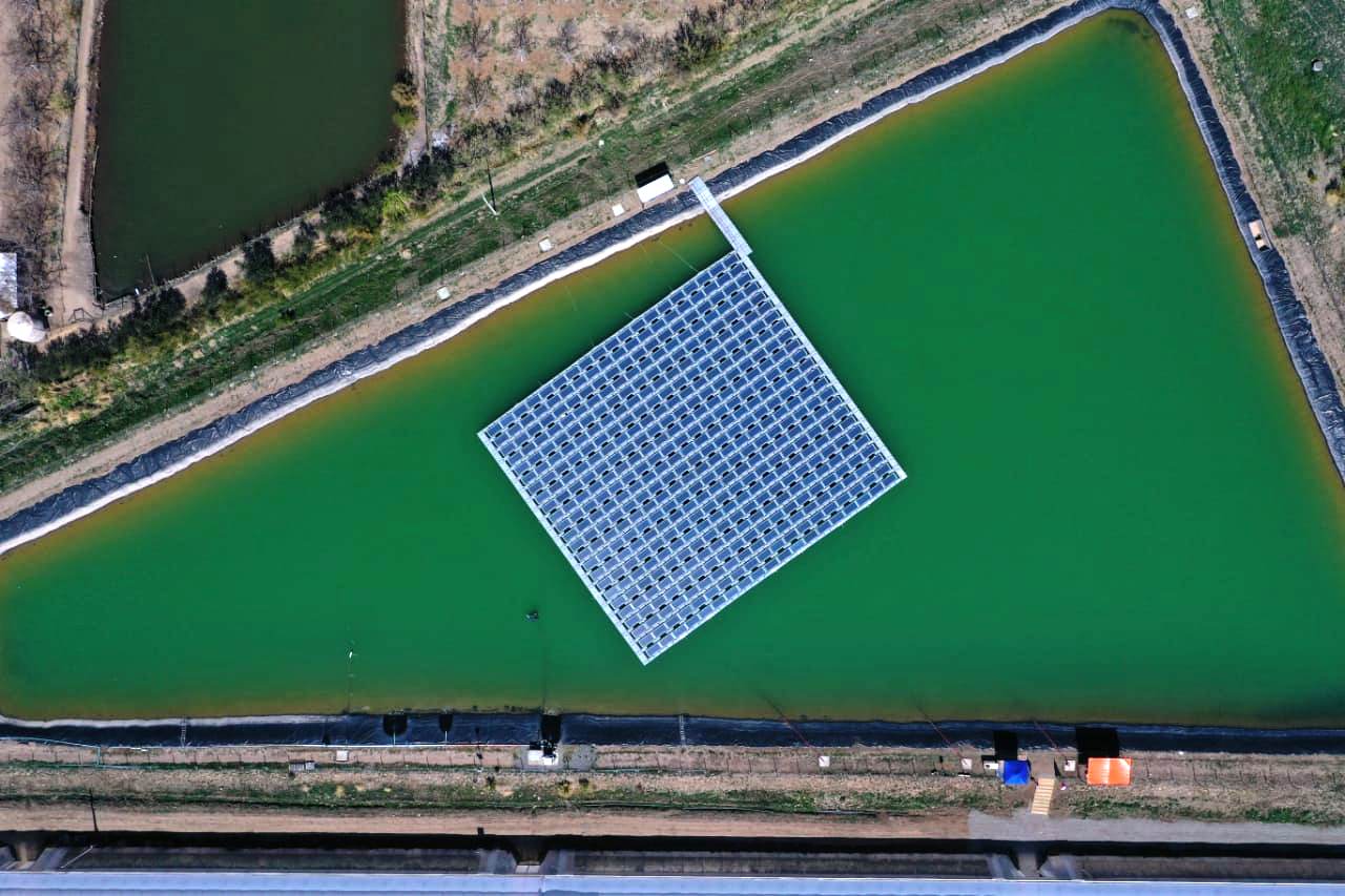 PUTAENDO: Ministro de Energía inaugura planta solar flotante más grande de Chile