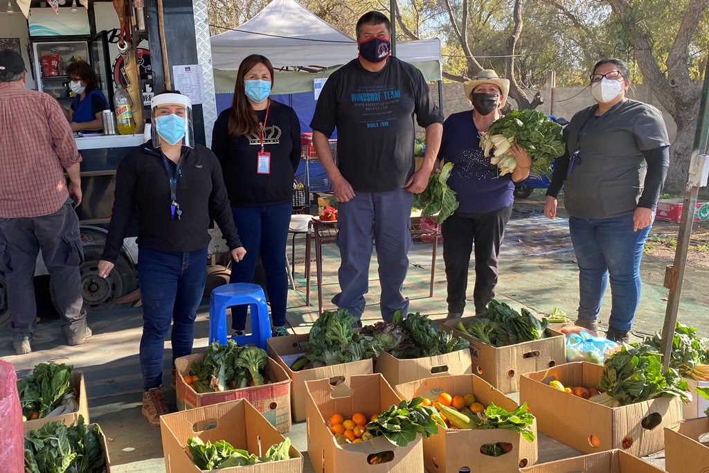 LOS ANDES: Feriantes entregan hortalizas a usuarios del Programa de Acompañamiento Psicosocial de Cesfam Centenario