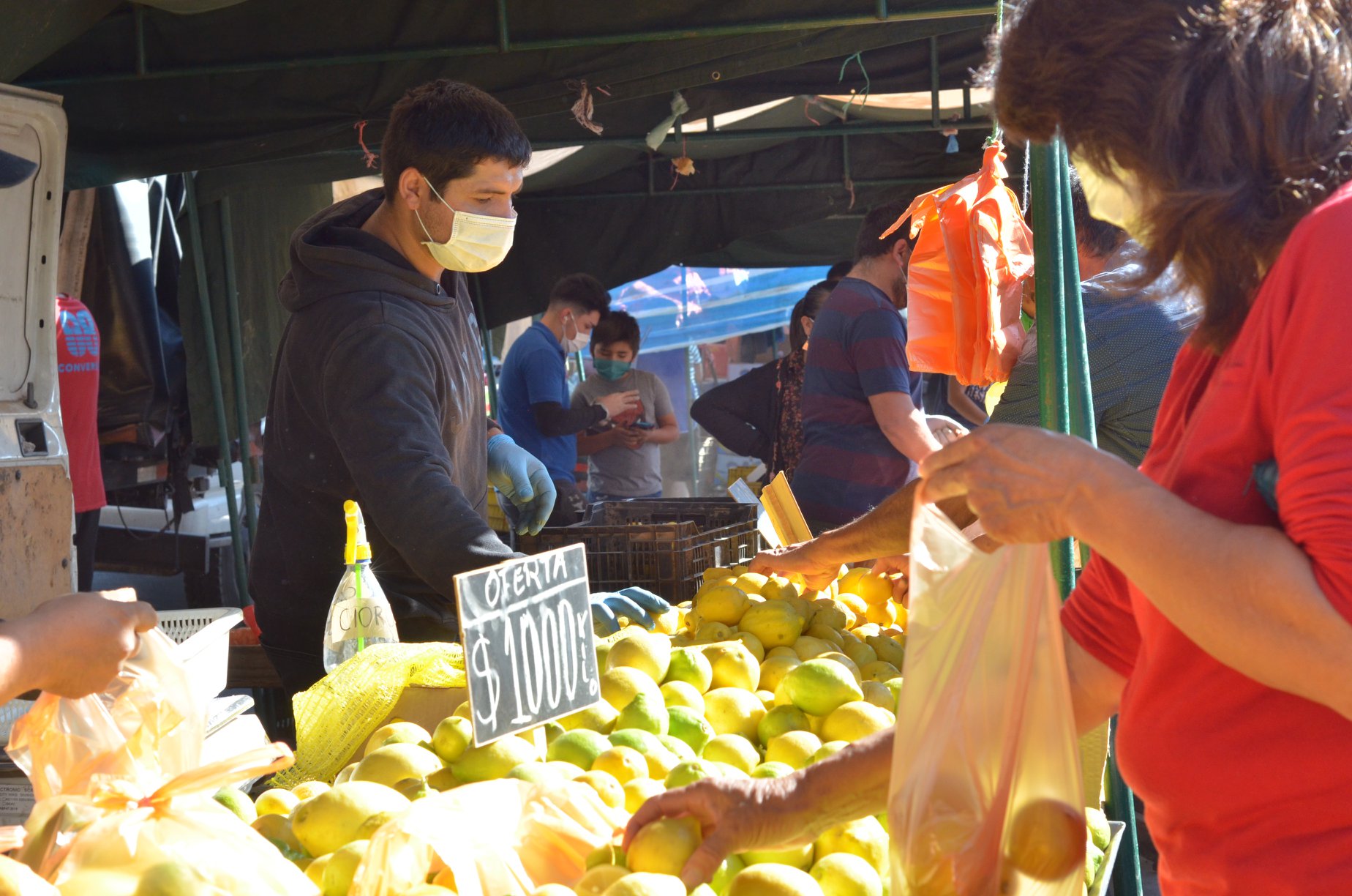 SAN FELIPE: Feria Diego de Almagro: Desde este domingo se incorporan puestos de bazares, paquetería y antigüedades