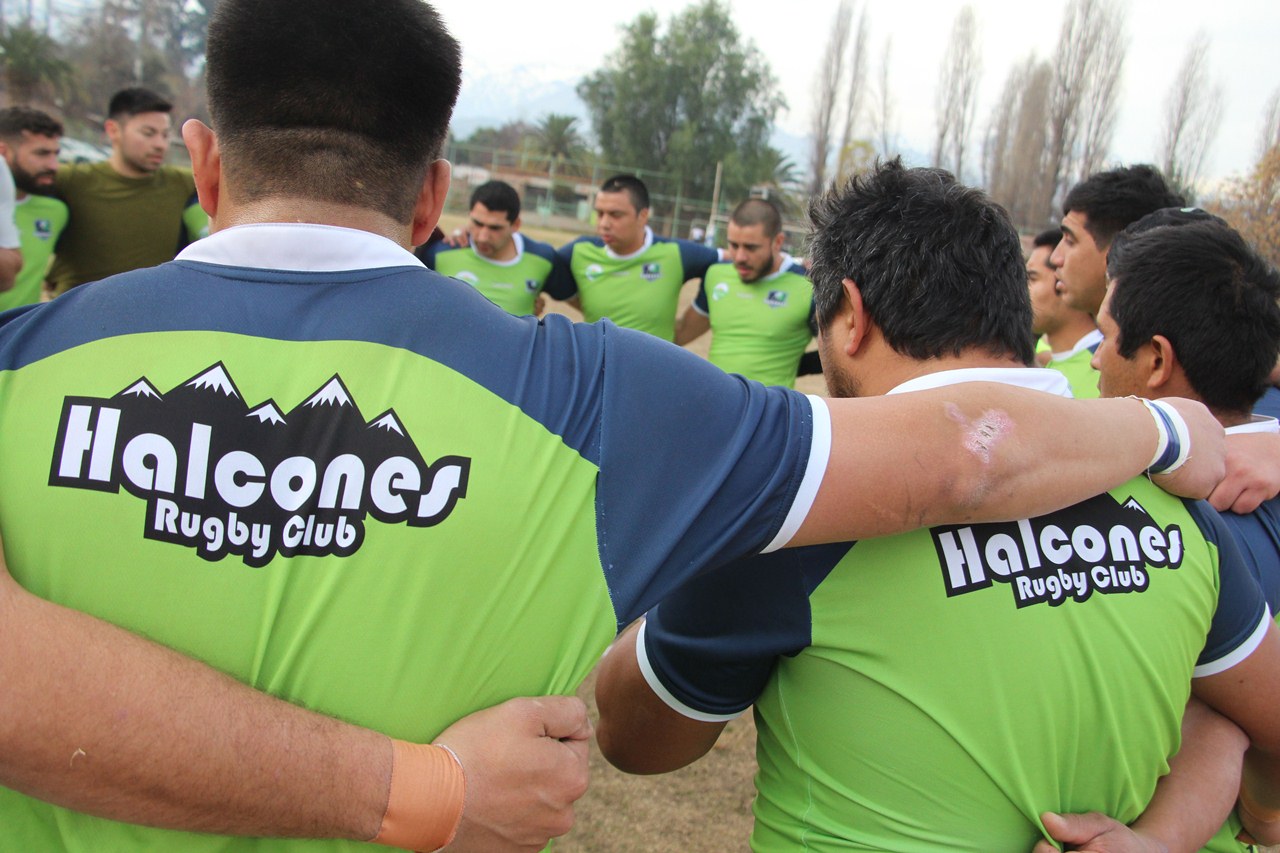 CALLE LARGA: «Paso a Paso» Halcones Rugby comunica el regreso a las canchas