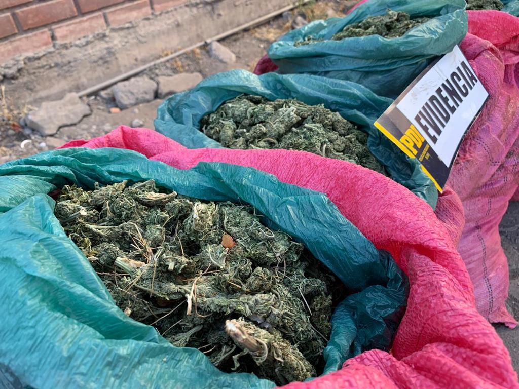 POLICIAL: PDI de Los Andes detuvo a organización criminal con 100 kilos de marihuana