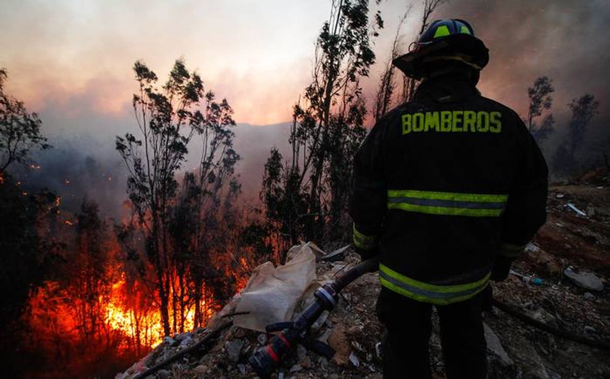OPINIÓN: Megaincendios: ¿Qué tan preparado está el Valle del Aconcagua?