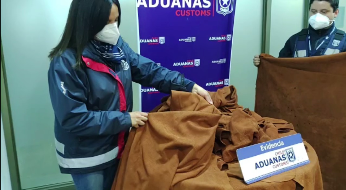 LOS ANDES: Aduana incauta 100 valiosas pieles de contrabando en Los Libertadores