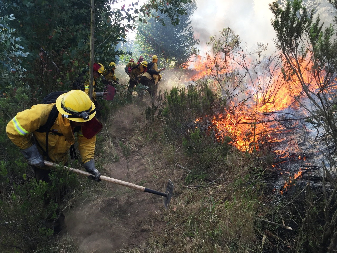 REGIONAL: Agricultura llama a prevenir incendios forestales ante alza de temperaturas anunciadas para la región