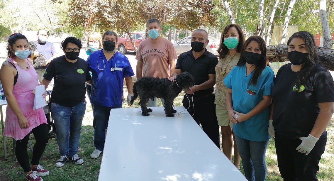LOS ANDES: Operativo Médico Veterinario liderado por Doctor Mario Méndez llevó atención a más de 100 mascotas en Los Andes