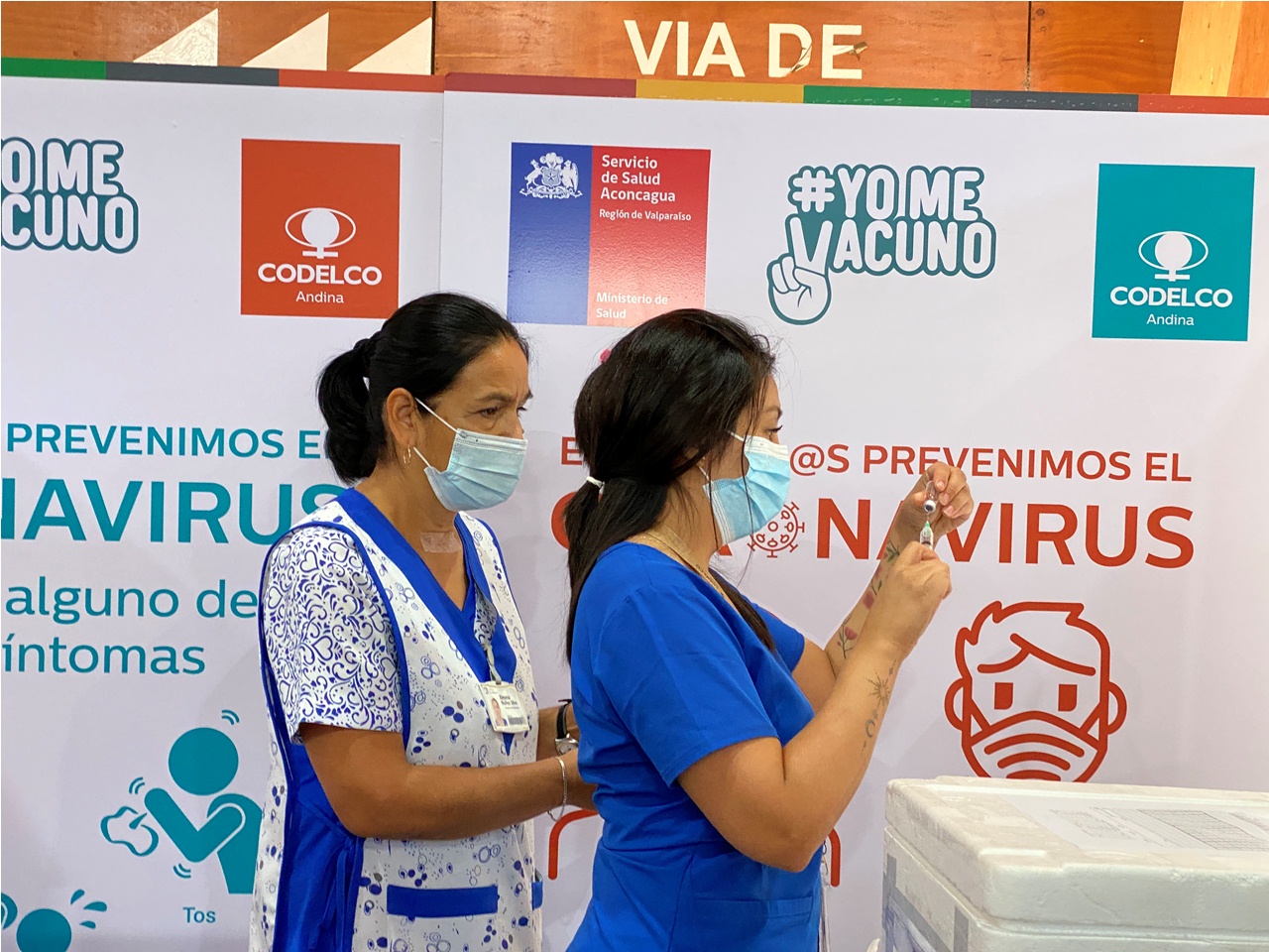 LOS ANDES: Vacunatorio del Polideportivo de Codelco Andina inicia vacunación contra la influenza