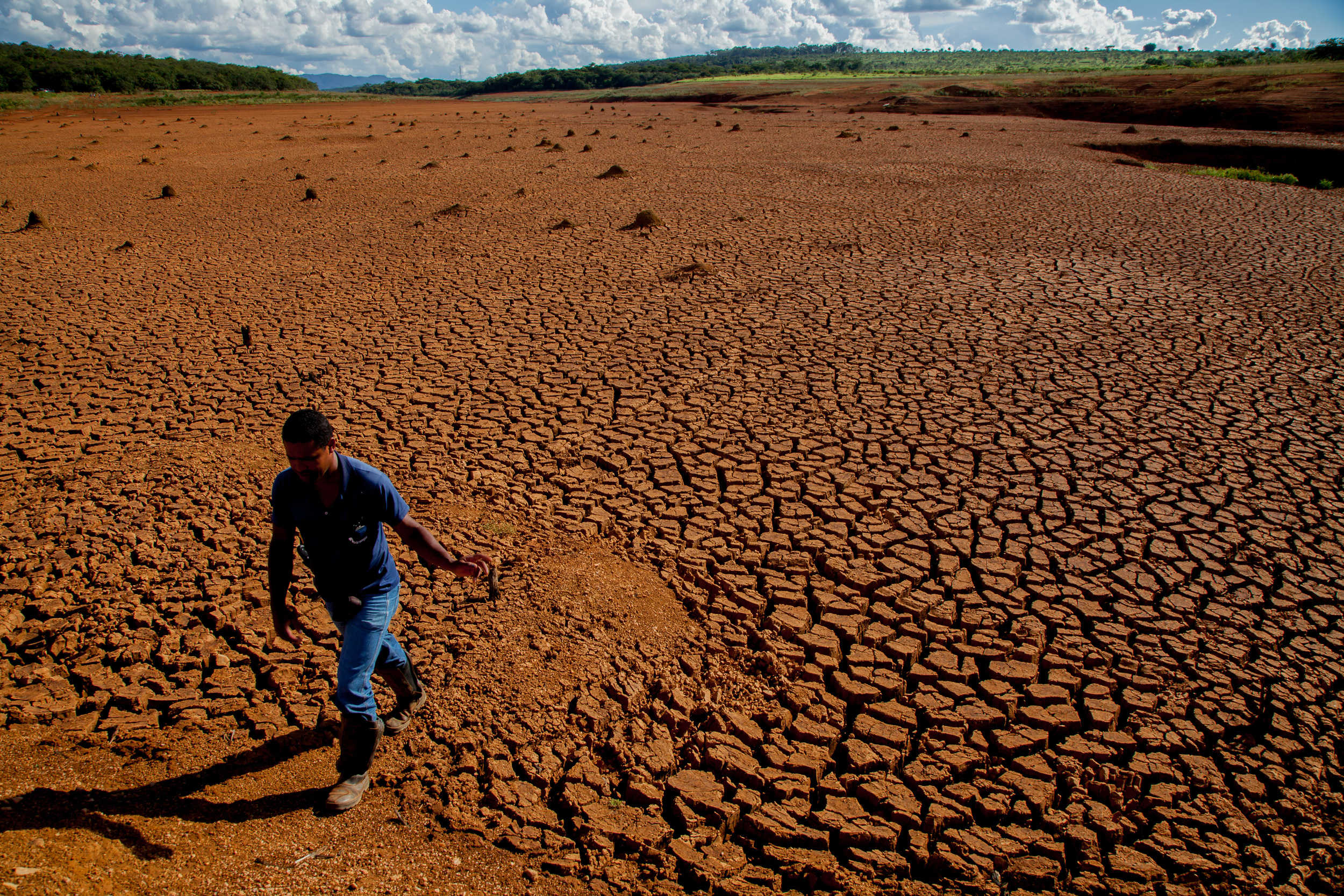 OPINIÓN: Inquietantes cifras 76% del territorio nacional afectado por desertificación