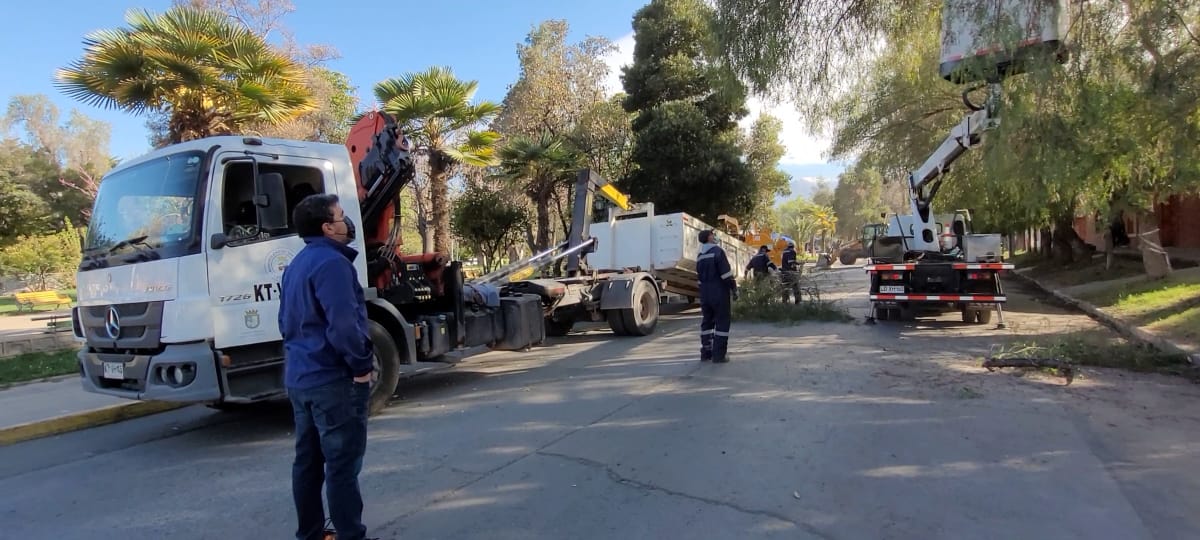 SAN ESTEBAN: Equipos municipales realizaron un nuevo operativo de poda y limpieza en pleno centro de la comuna