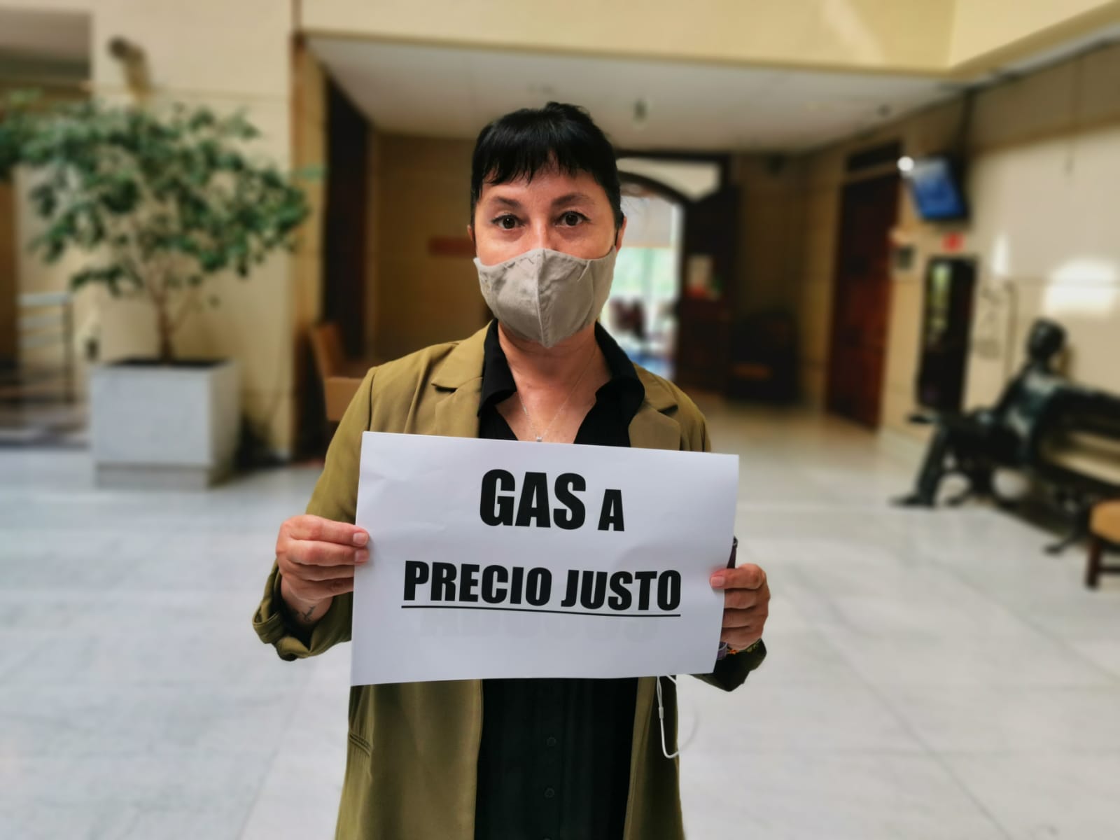 REGIONAL: Diputada Marzán presenta proyecto que autoriza a las Municipalidades a comercializar Gas Licuado » a precio justo»