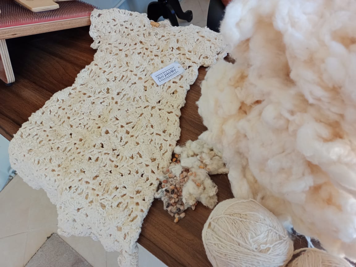 PUTAENDO: Artesana de Putaendo rescata Tradiciones Ancestrales con Milenario cultivo de algodón y tejido de horquilla