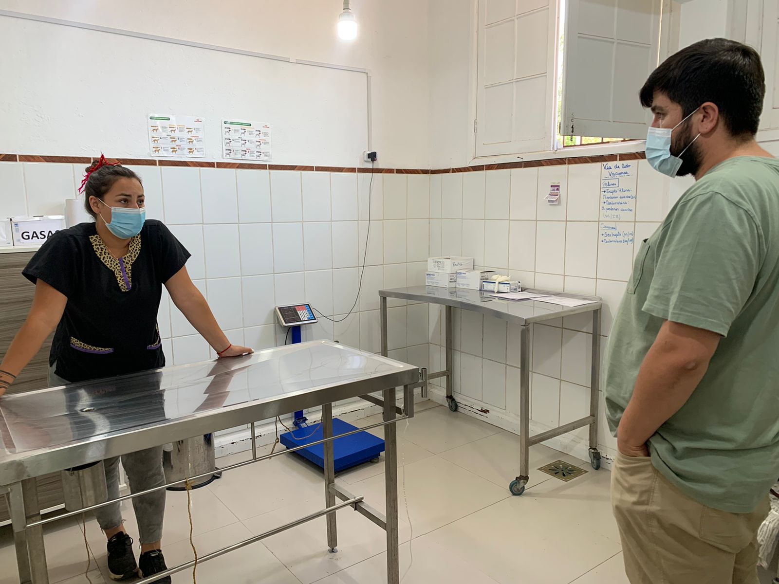 SAN FELIPE: Veterinaria municipal de San Felipe contará con nuevo médico veterinario