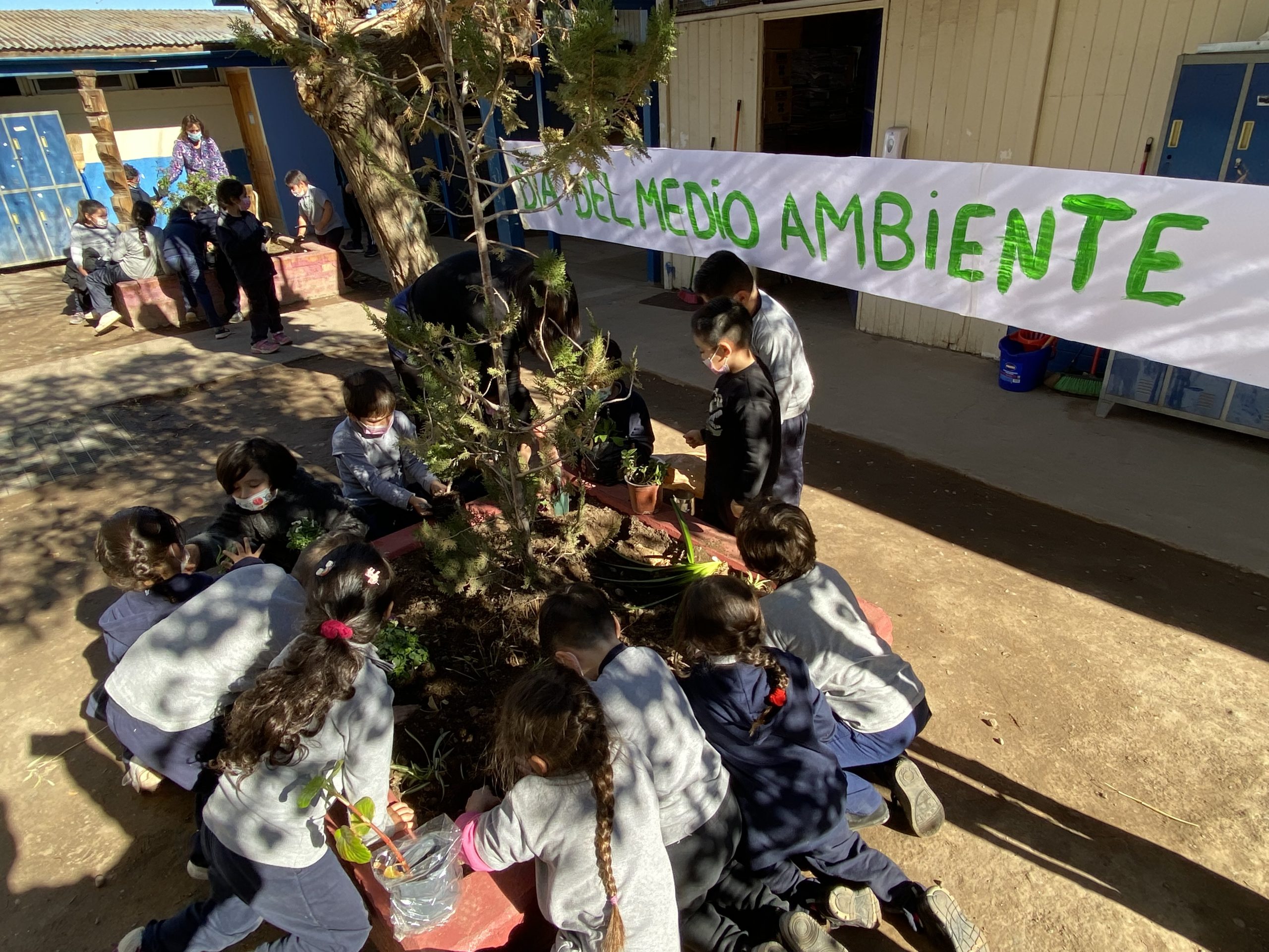 SAN ESTEBAN:  Escuelas de San Esteban celebraron el Día Mundial del Medio Ambiente con diversas actividades