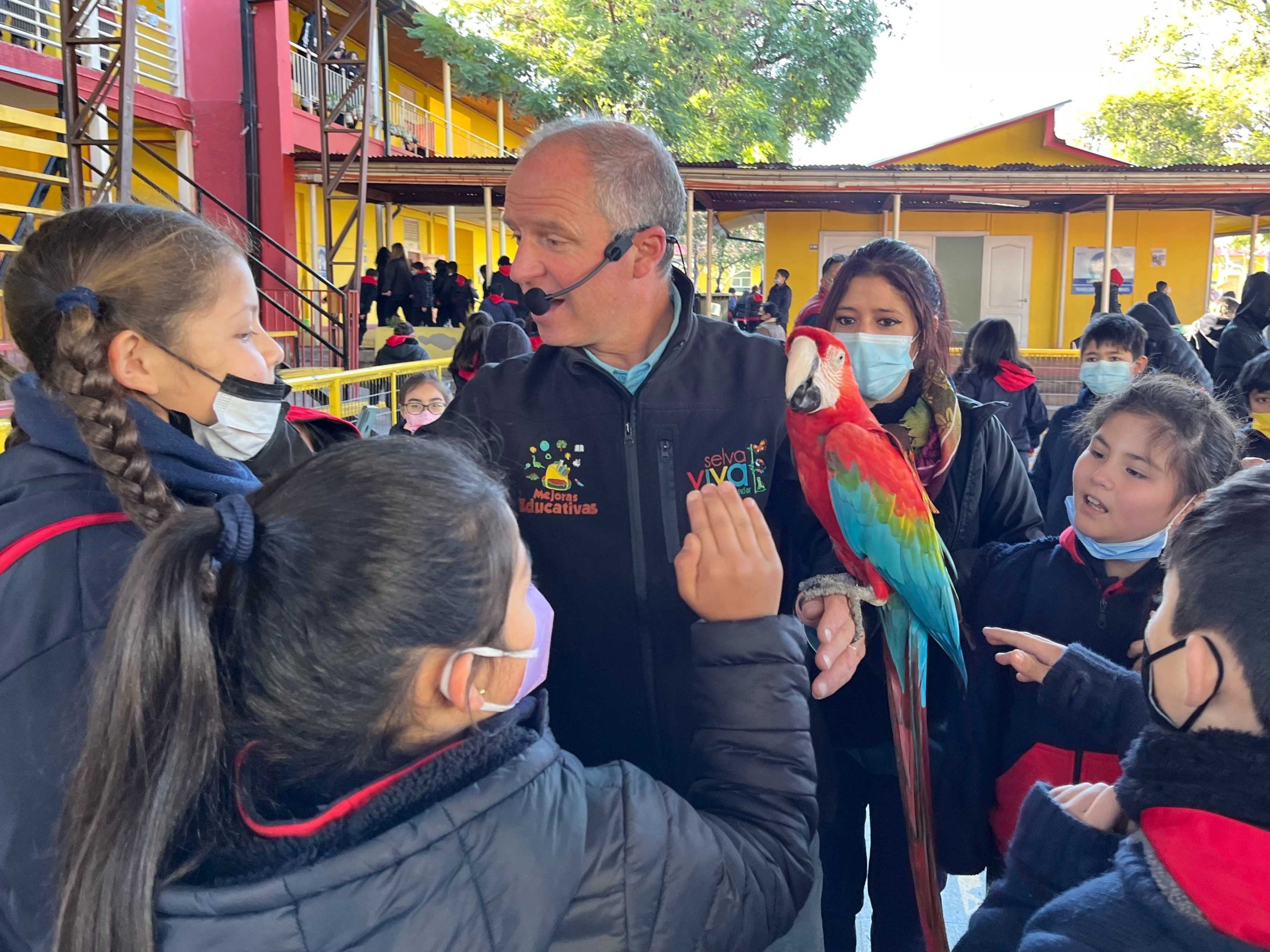 LOS ANDES: Estudiantes de escuelas municipales de Los Andes conocen el mundo animal gracias a visita de la muestra “Selva Viva”