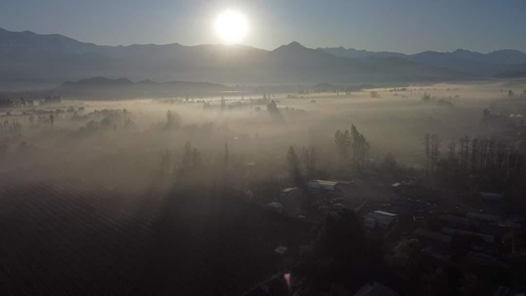 LOS ANDES: Densa nube de Humo cubre desde sector de Las Juntas hasta San Rafael