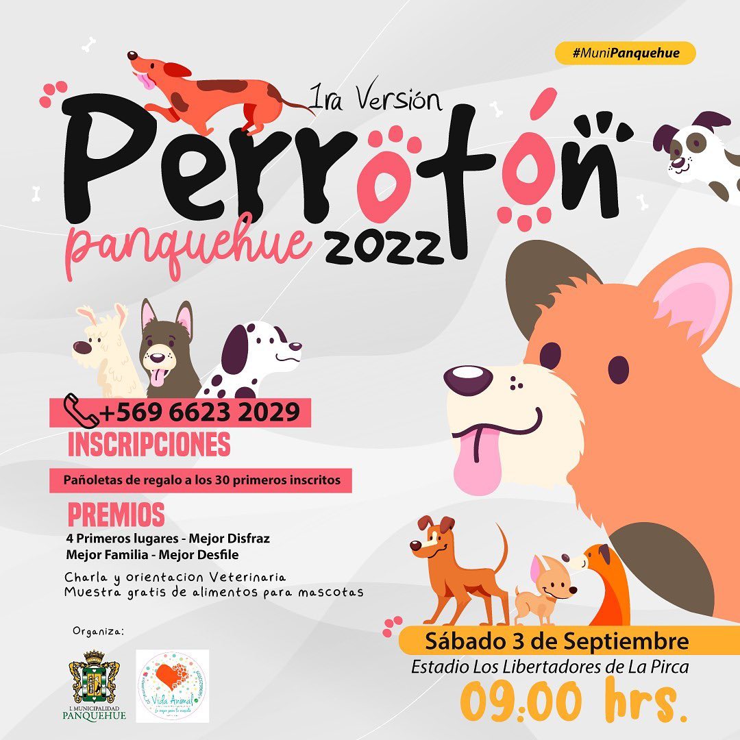 PANQUEHUE: Panquehue tendrá este sábado su primera Perrotón en el Estadio Los Libertadores de La Pirca