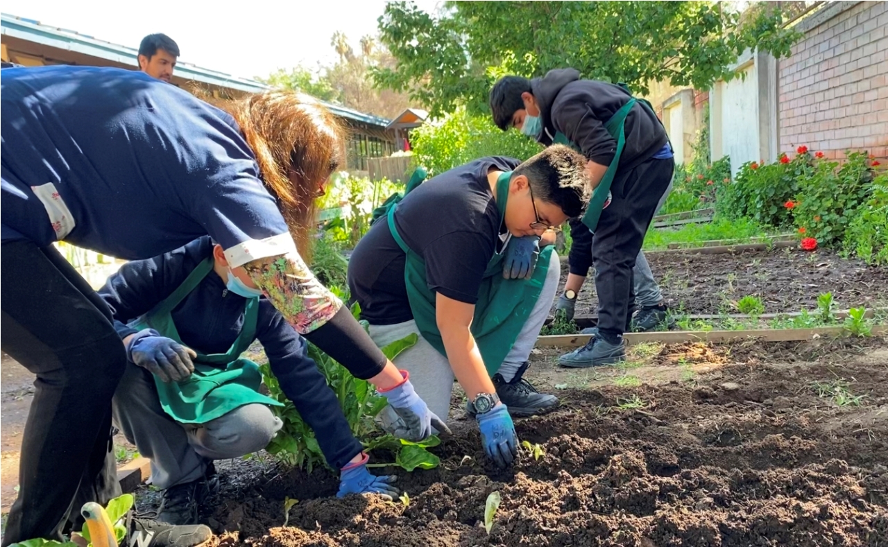 SAN ESTEBAN: Con huerto escolar, la Escuela Pablo Neruda promueve el cuidado de la naturaleza y la alimentación saludable