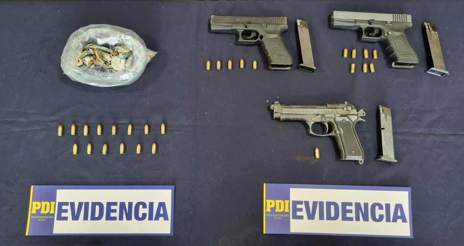 POLICIAL: PDI detiene en Los Andes a hombre que comercializaba hongos alucinógenos