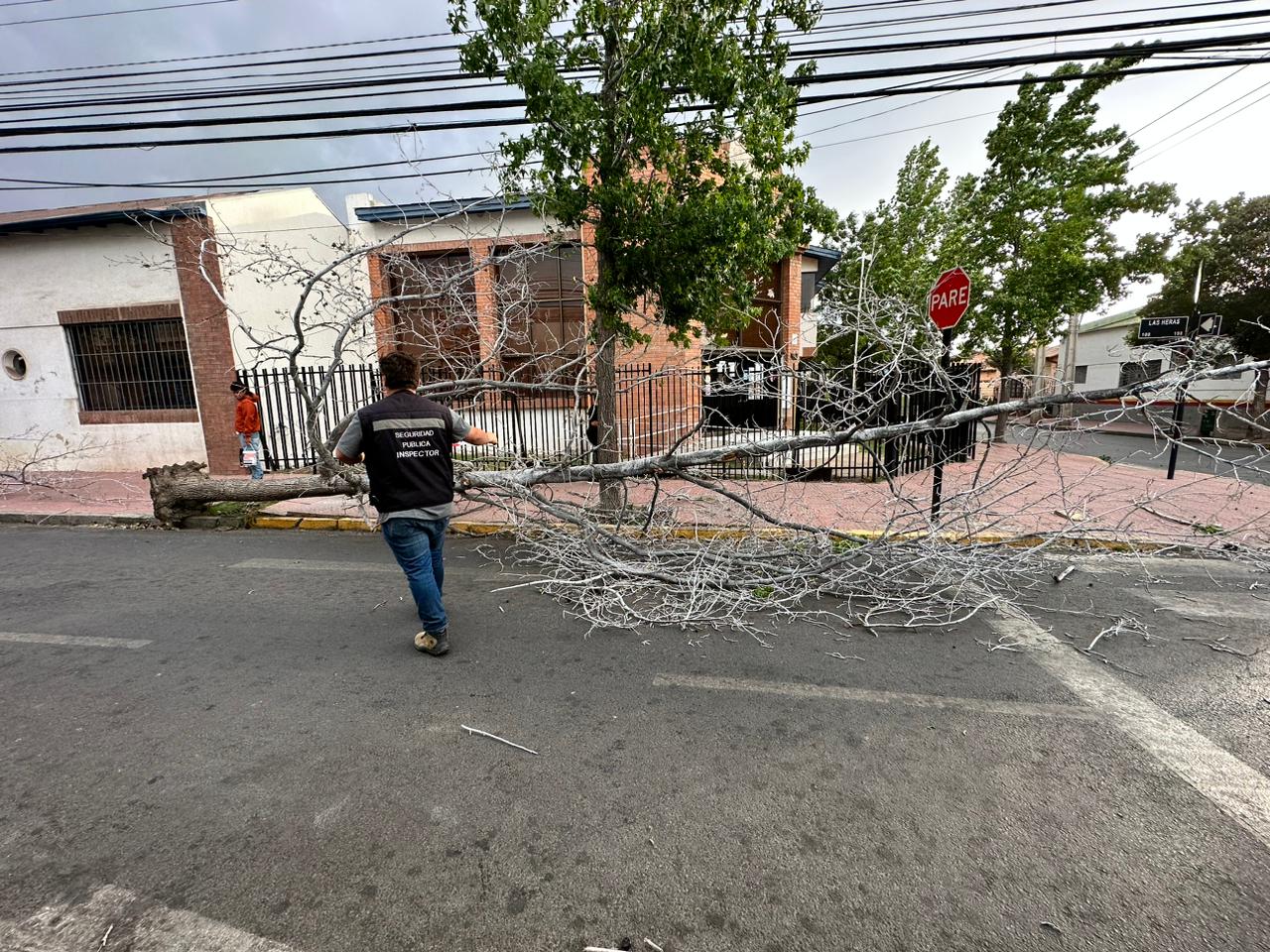 LOS ANDES: En Los Andes equipos municipales siguen desplegados para afrontar consecuencias de temporal de viento