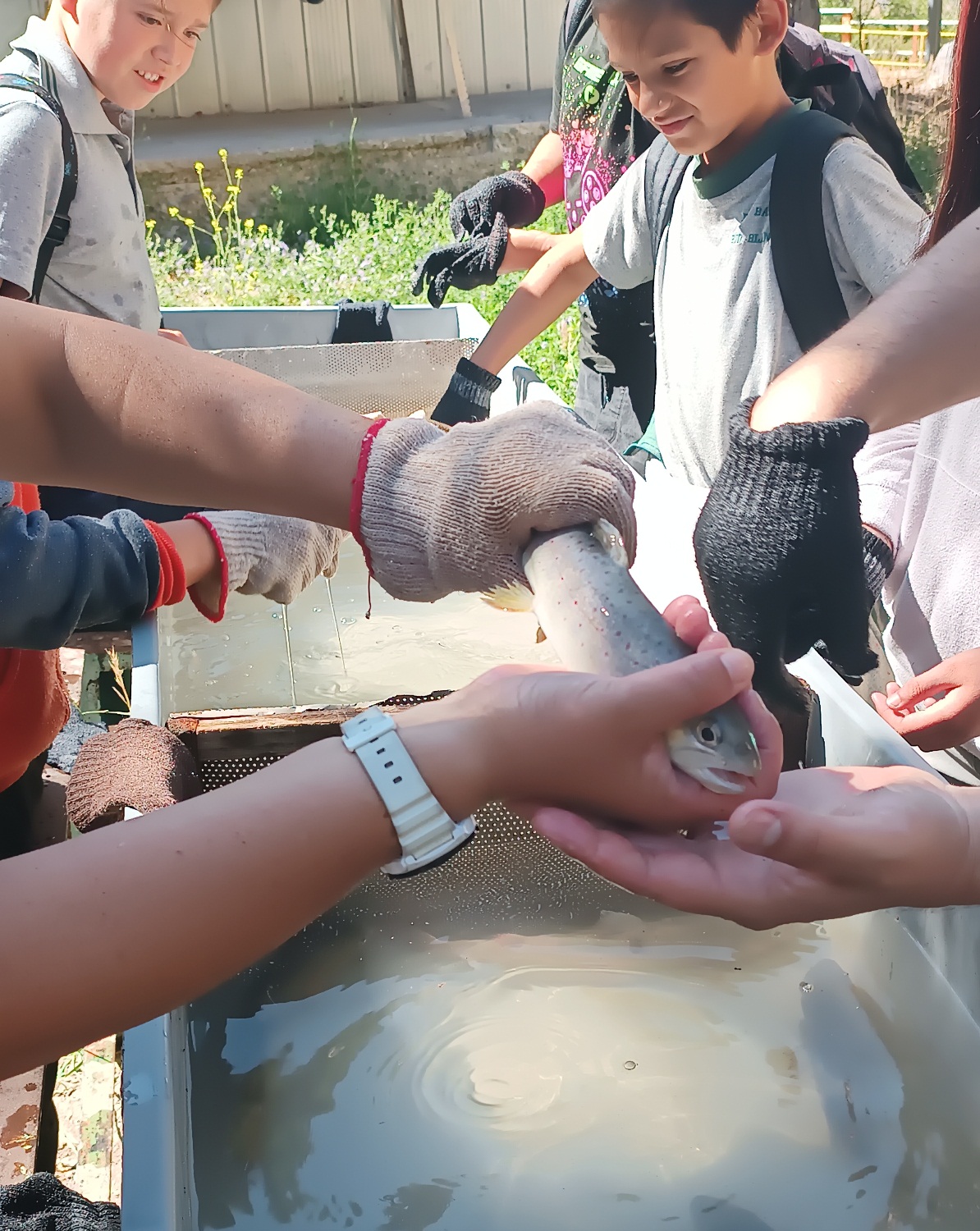 LOS ANDES: Piscicultura Río Blanco cierra el periodo 2022 de visitas escolares