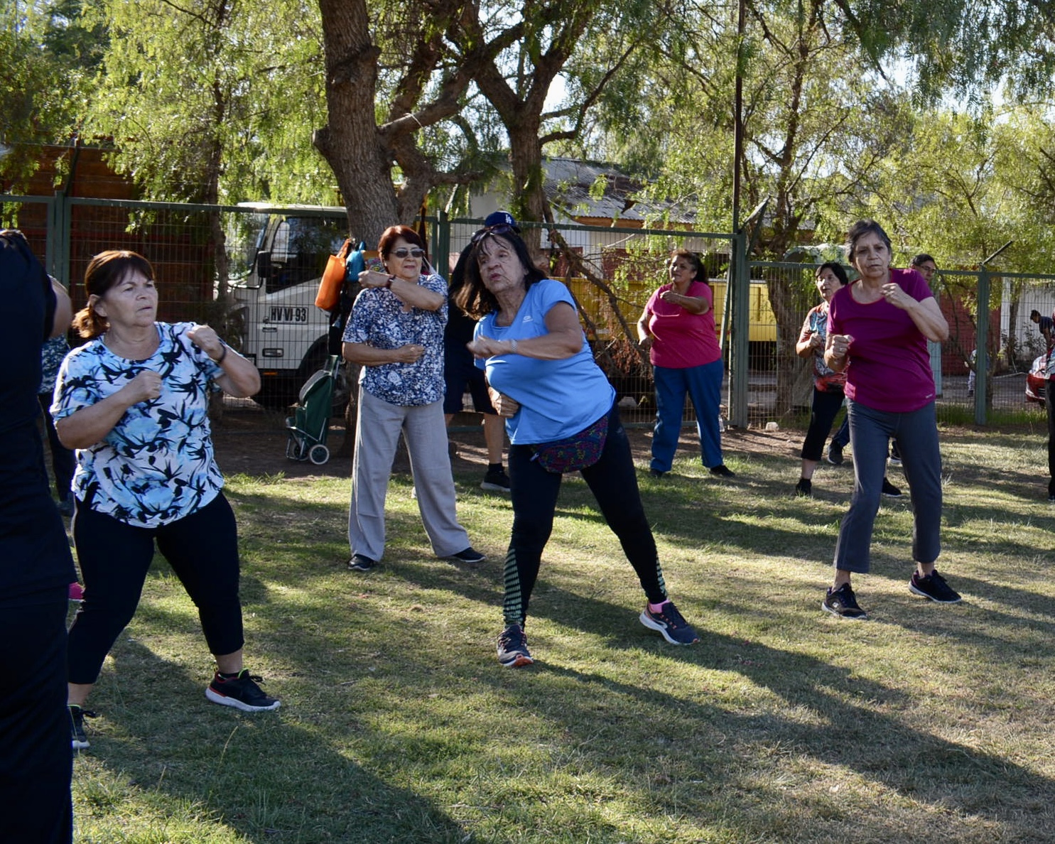 LOS ANDES: Baile, gimnasia y piscina entre las actividades del Programa Más Adultos Mayores Autovalentes 2023