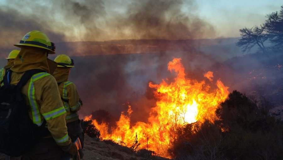REGIÓN: Gobierno Regional de Valparaíso entregará 100 millones de pesos a CONAF para enfrentar incendios forestales        