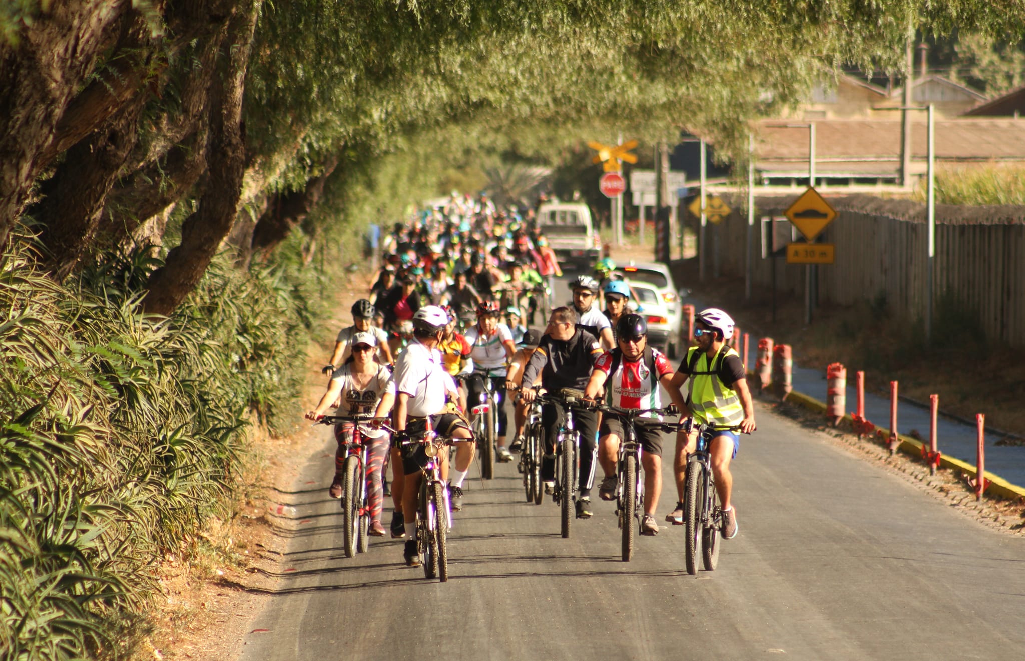 PANQUEHUE: Cerca de 120 pedaleros y pedaleras recorrieron en bicicleta rutas interiores y lugares patrimoniales de Panquehue