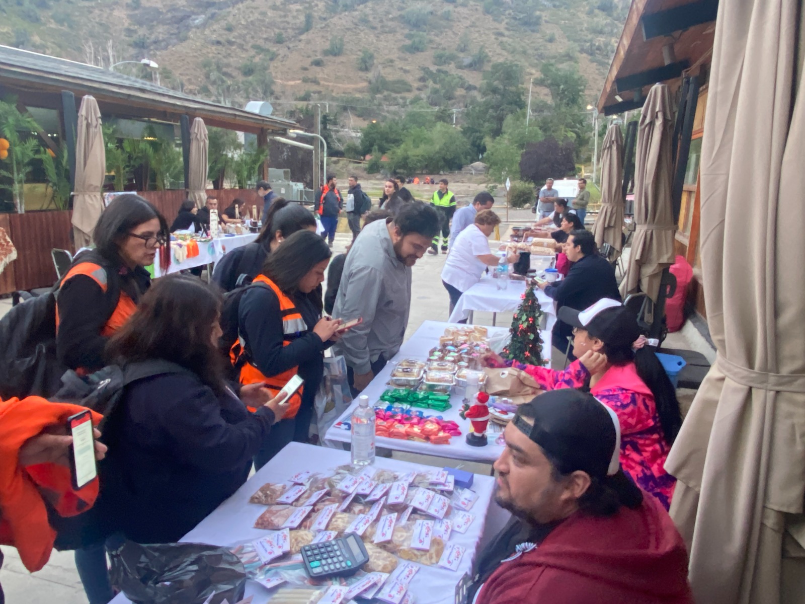 LOS ANDES: Programa “Juntos Emprendemos de Local” de Codelco Andina realizará webinar informativo