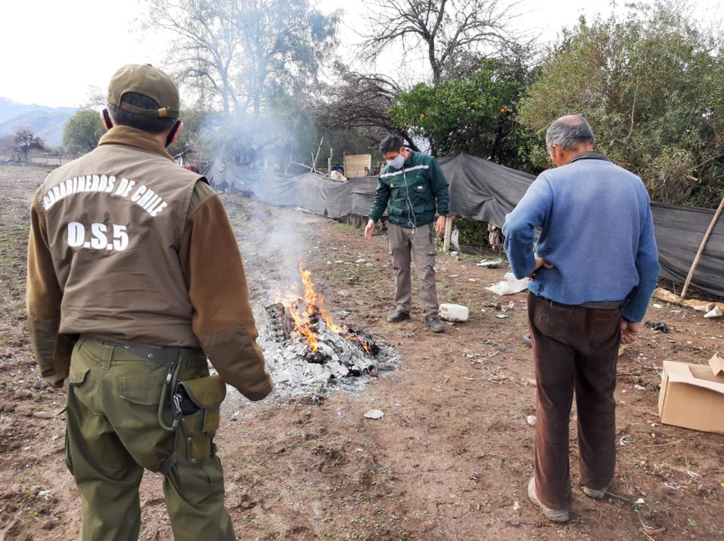 REGIONAL: Conaf extiende hasta el 30 de abril prohibición del uso del fuego para eliminar desechos agrícolas 