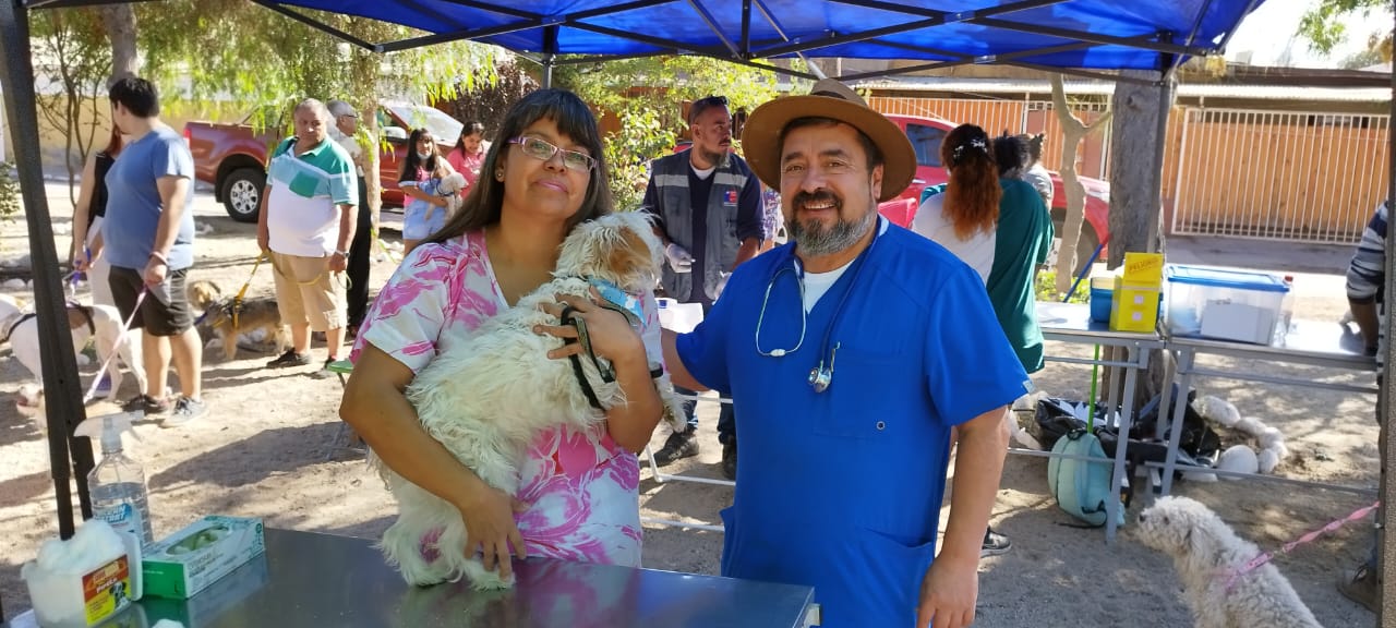 LOS ANDES: Exitoso operativo de vacunación antirrábica por murciélago positivo a rabia en la comuna de Los Andes
