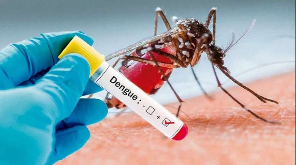 LOS ANDES: [VIDEO] Seremi de Salud detecta presencia del mosquito vector del dengue en el Sector del Puerto Terrestre