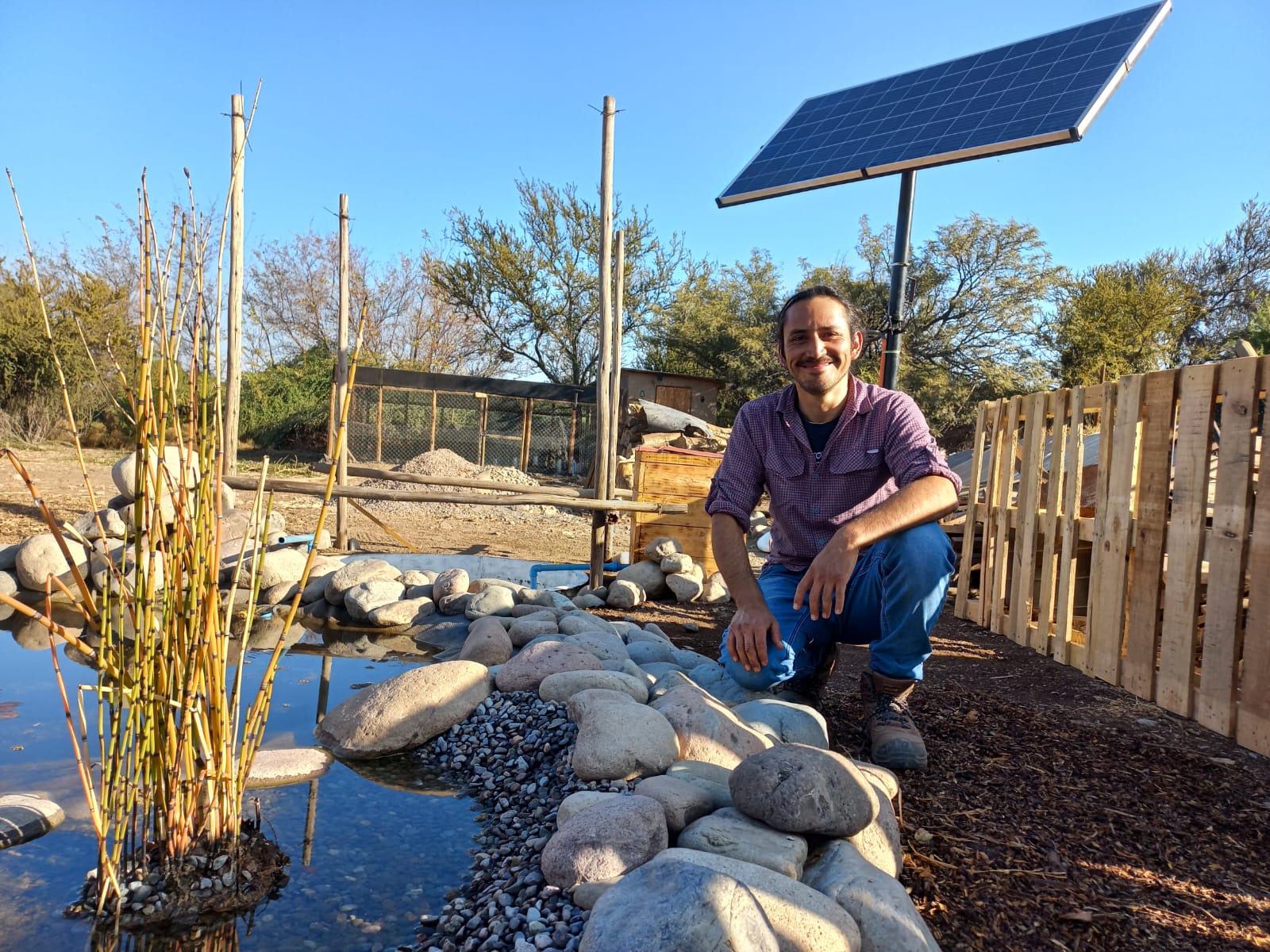 PUTAENDO: Joven Agricultor de Putaendo usa innovador sistema de reciclaje de aguas con peces y plantas acuáticas