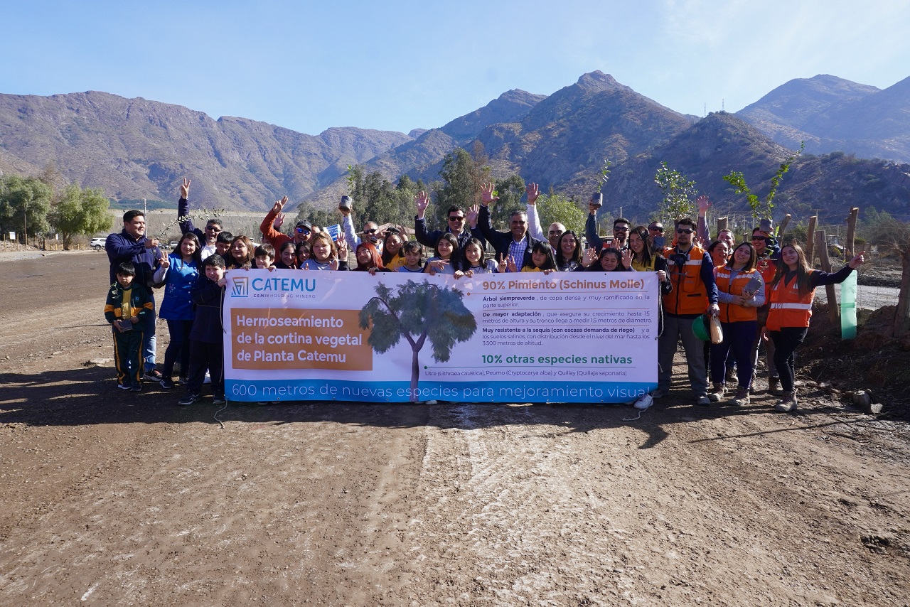 CATEMU: Minera Catemu culmina renovación de su cortina vegetal para hermoseamiento de camino local