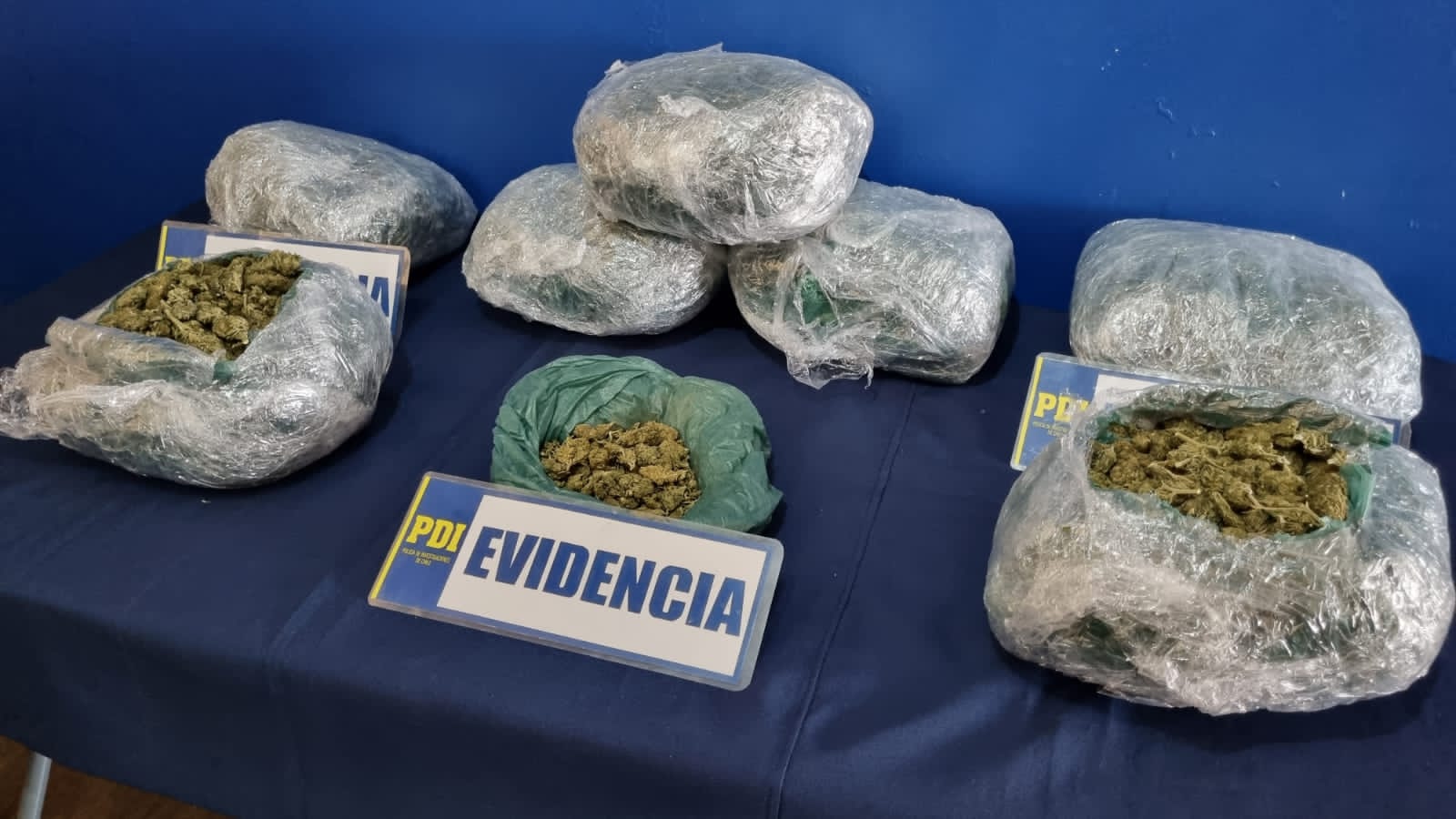 POLICIAL: PDI Los Andes desarticula a último brazo operativo de banda que distribuía droga en la zona central