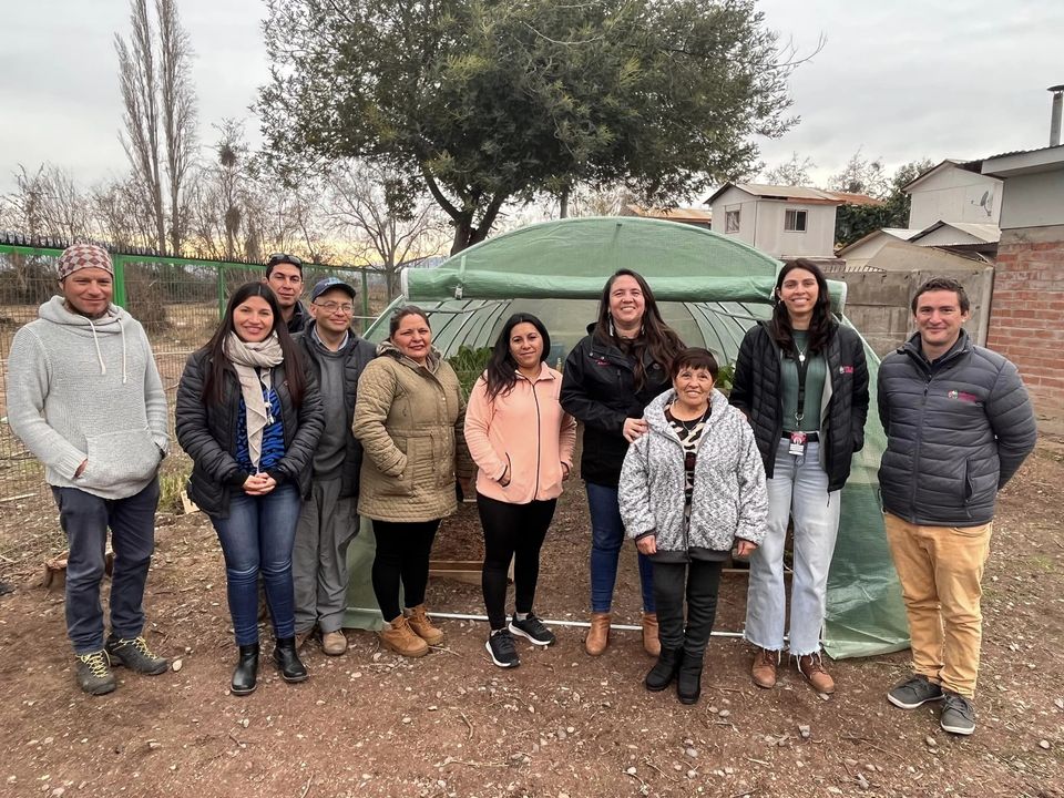 CALLE LARGA: Junta de Vecinos “La Tapada” de Calle Larga realizó primera cosecha en su huerto comunitario