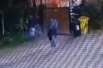 LOS ANDES: [VIDEO] Vecinos denuncian que sujetos durante la madrugada roban sus contenedores de Basura