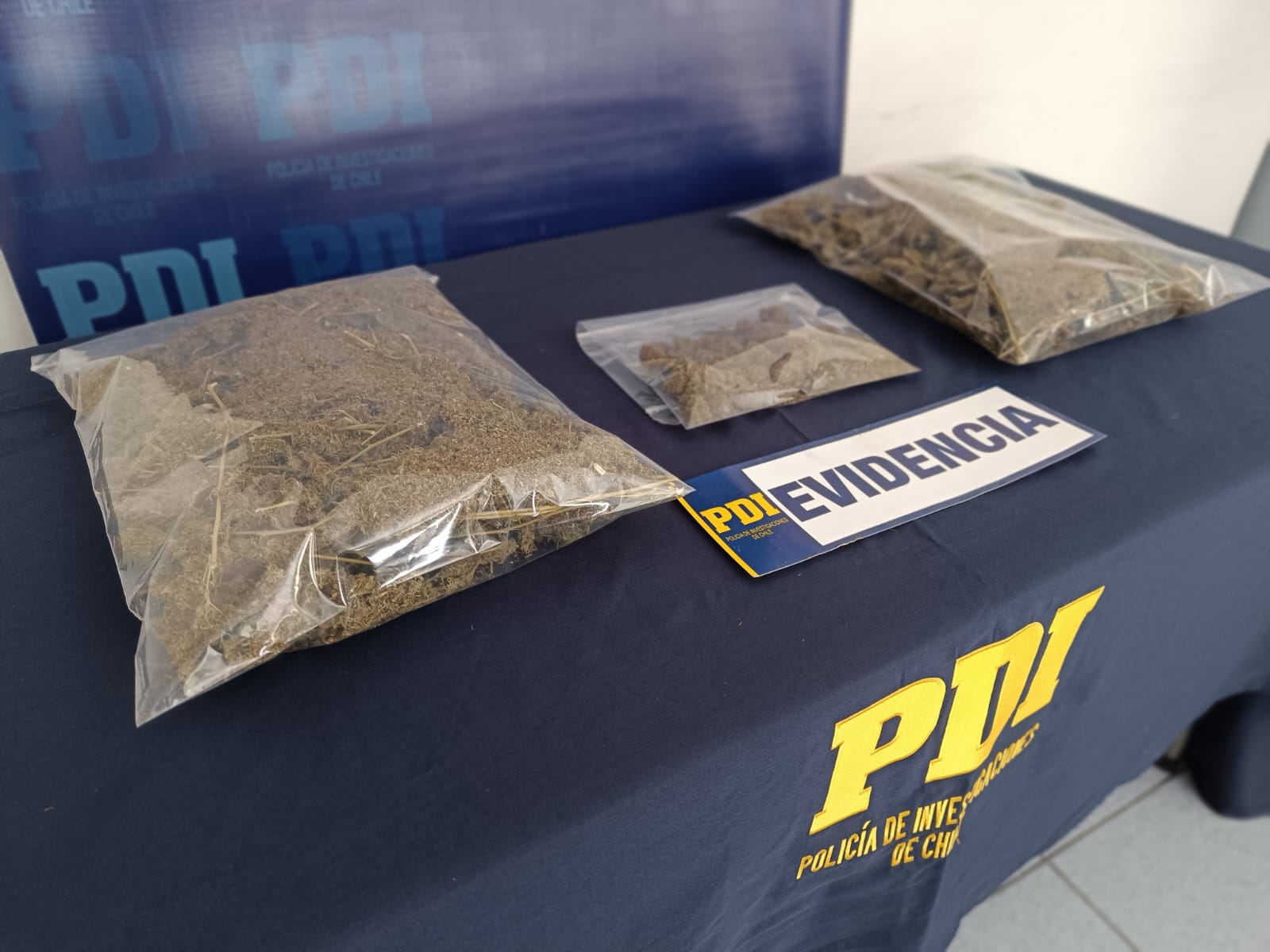 POLICIAL: PDI San Felipe detiene a mujer que vendía marihuana en la Plaza de Armas