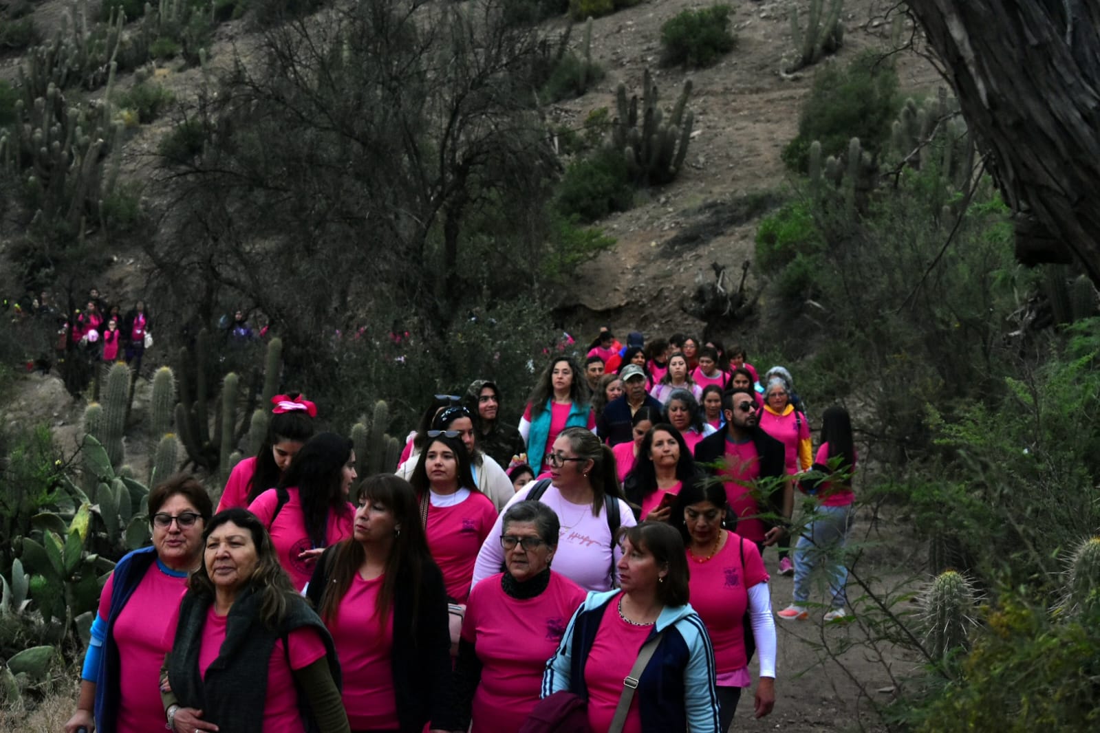 SANTA MARÍA: Municipio de Santa María realizó masiva caminata y fiesta para promover la salud y prevenir del cáncer de mama