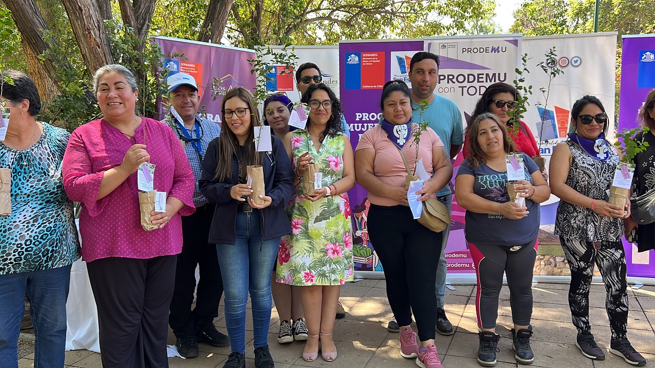 SAN ESTEBAN: Municipio de San Esteban y SERNAMEG conmemoraron el Día Internacional de la Eliminación de la Violencia Contra la Mujer