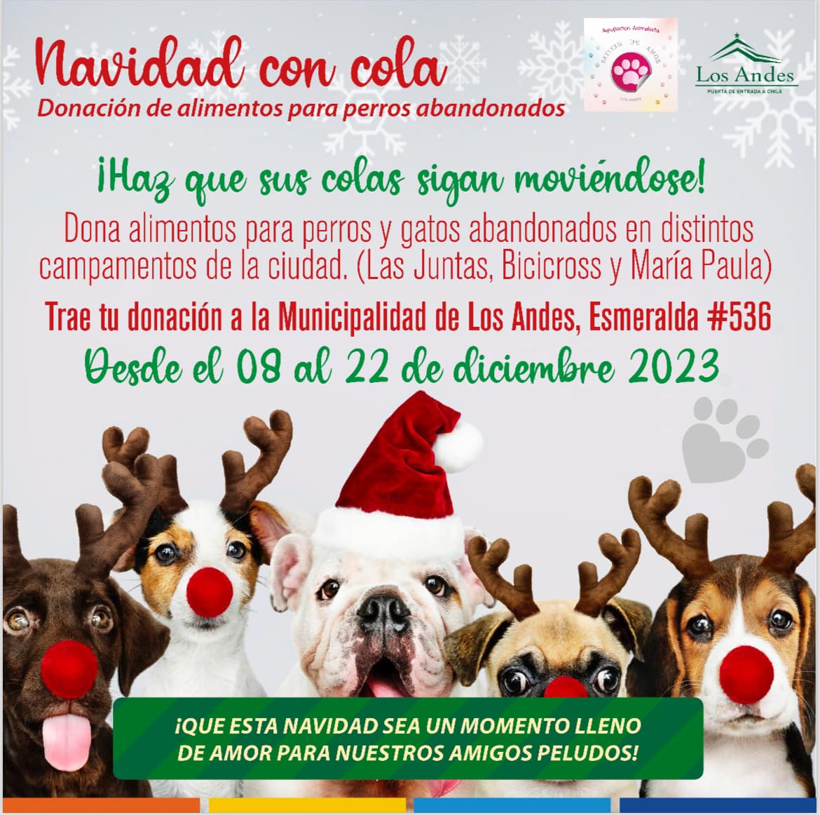 LOS ANDES: En Los Andes inician campaña de recolección de alimentos para perros y gatos comunitarios