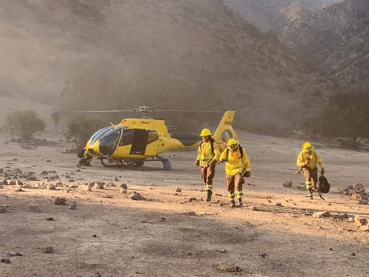 CATEMU: [VIDEO] Más de 30 hectáreas han sido consumidas tras incendio forestal en el Cerro El Boldo