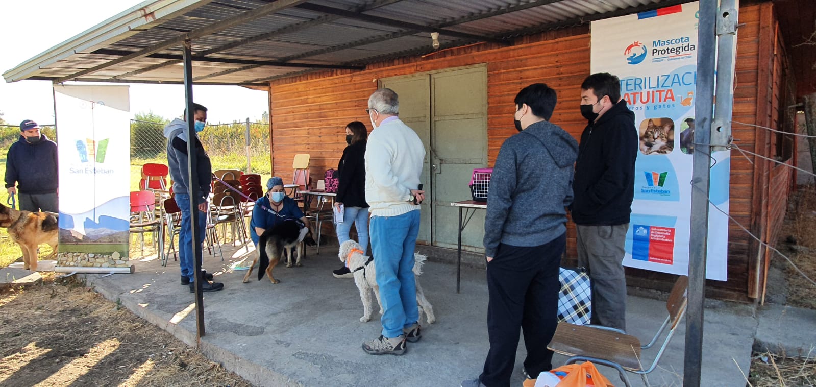 SAN ESTEBAN: Municipio de San Esteban y Subdere retoman operativos itinerantes de esterilización gratuitas para perros y gatos