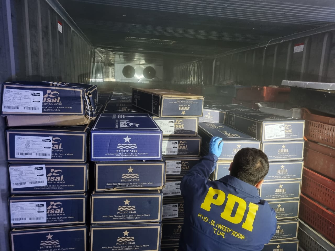 SAN FELIPE: En San Felipe recuperan 54 cajas de Salmón robadas en millonario asalto armado en San Antonio